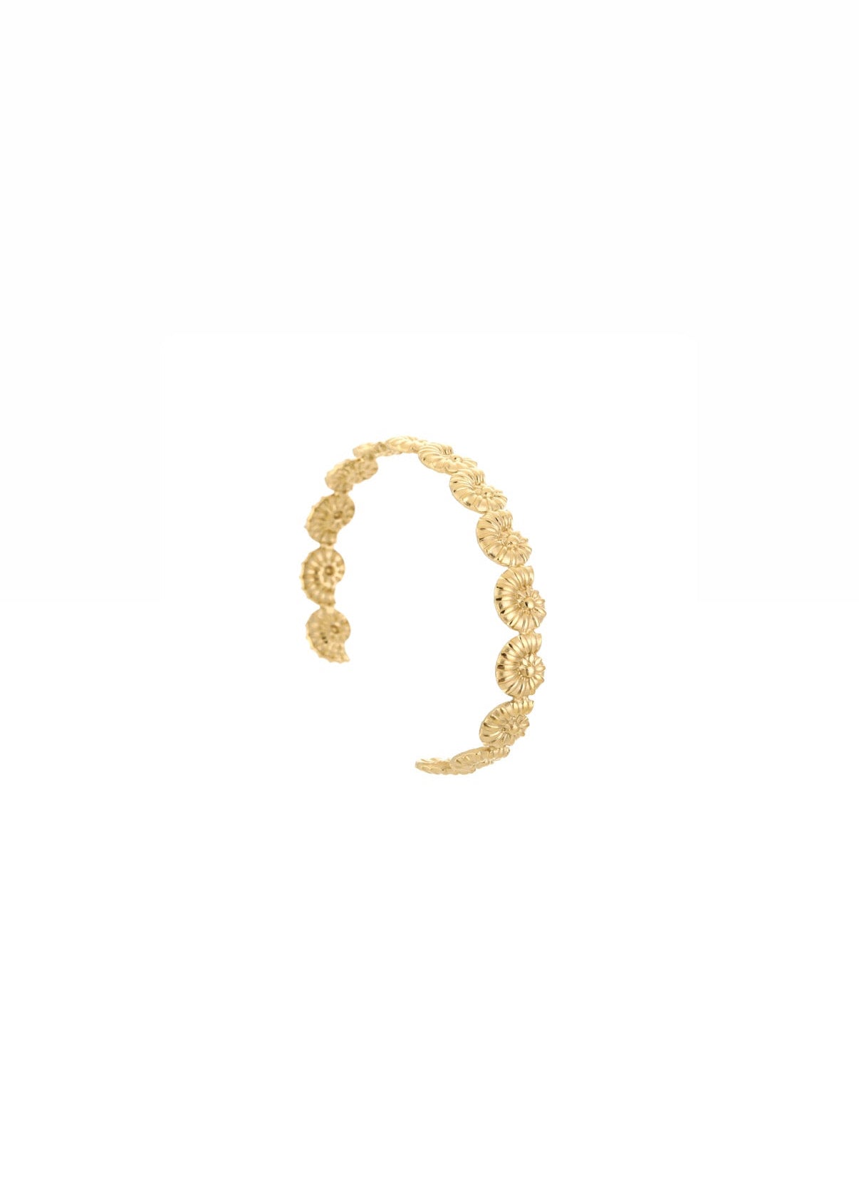 Odette Bangle